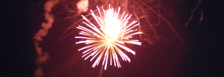 Private: Freedom Festival Fireworks